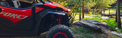 Passeio de Buggy